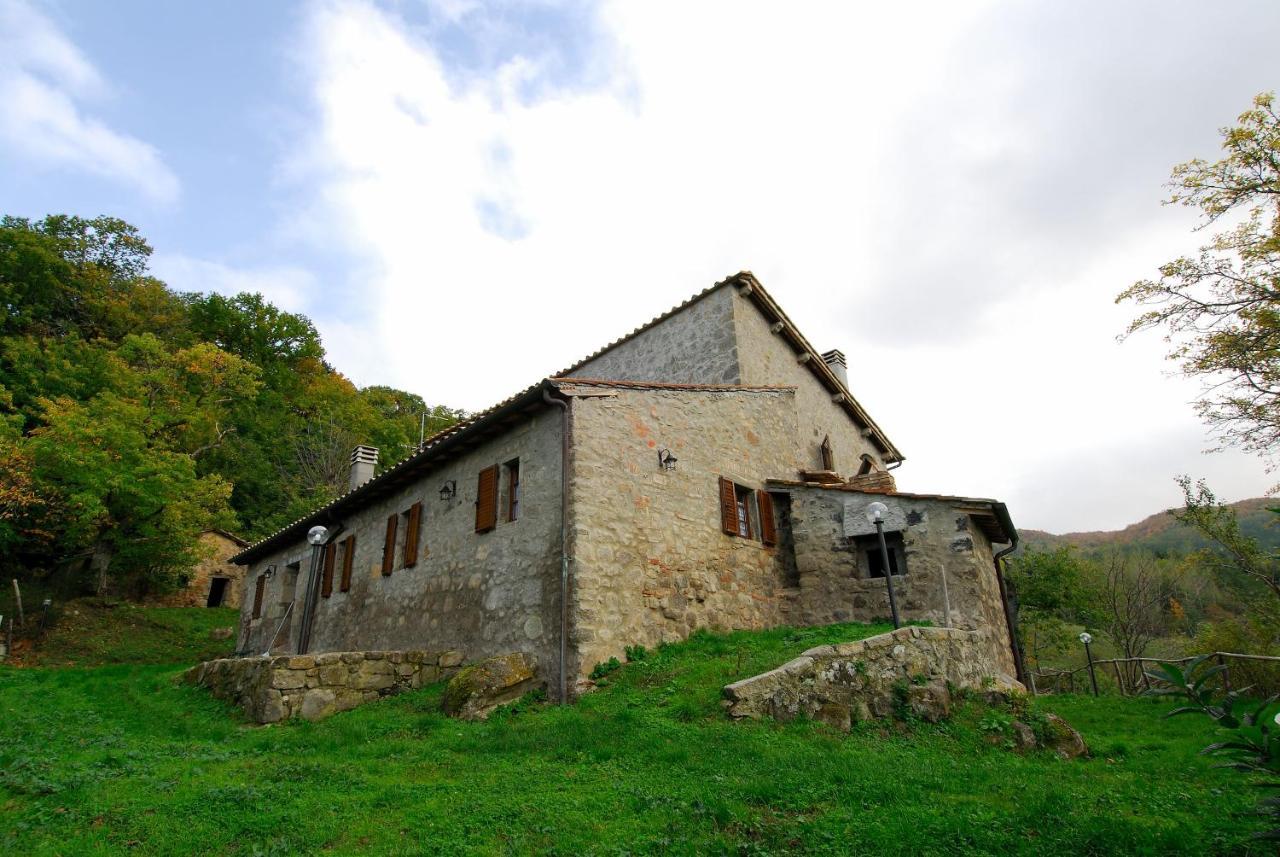 A Stay Surrounded By Greenery - Agriturismo La Piaggia - App 2 Bathrooms Vivo dʼOrcia Exterior foto