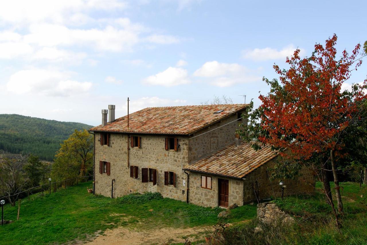 A Stay Surrounded By Greenery - Agriturismo La Piaggia - App 2 Bathrooms Vivo dʼOrcia Exterior foto