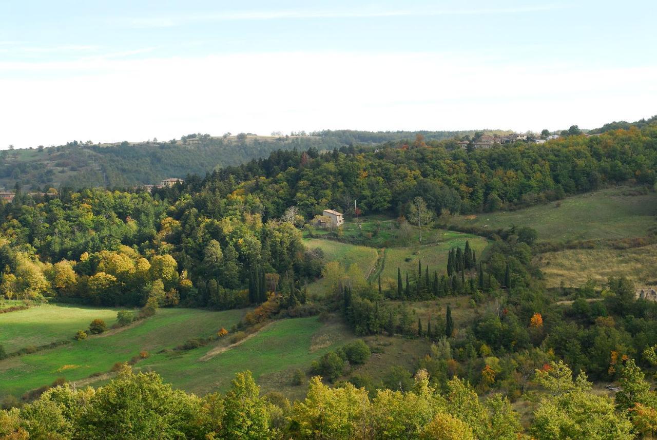 A Stay Surrounded By Greenery - Agriturismo La Piaggia - App 2 Bathrooms Vivo dʼOrcia Exterior foto