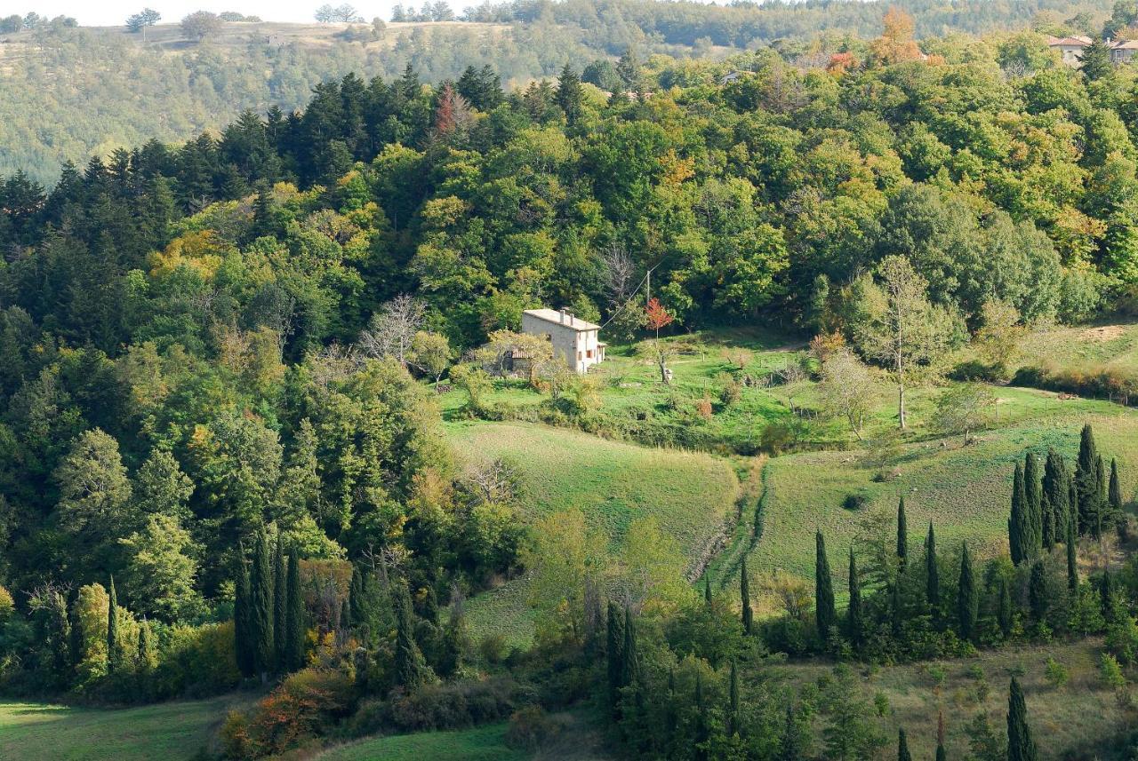 A Stay Surrounded By Greenery - Agriturismo La Piaggia - App 2 Bathrooms Vivo dʼOrcia Exterior foto