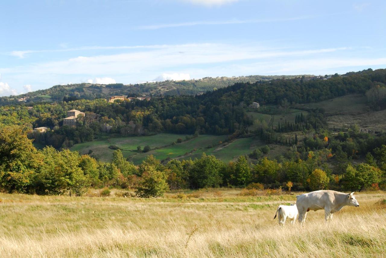 A Stay Surrounded By Greenery - Agriturismo La Piaggia - App 2 Bathrooms Vivo dʼOrcia Exterior foto