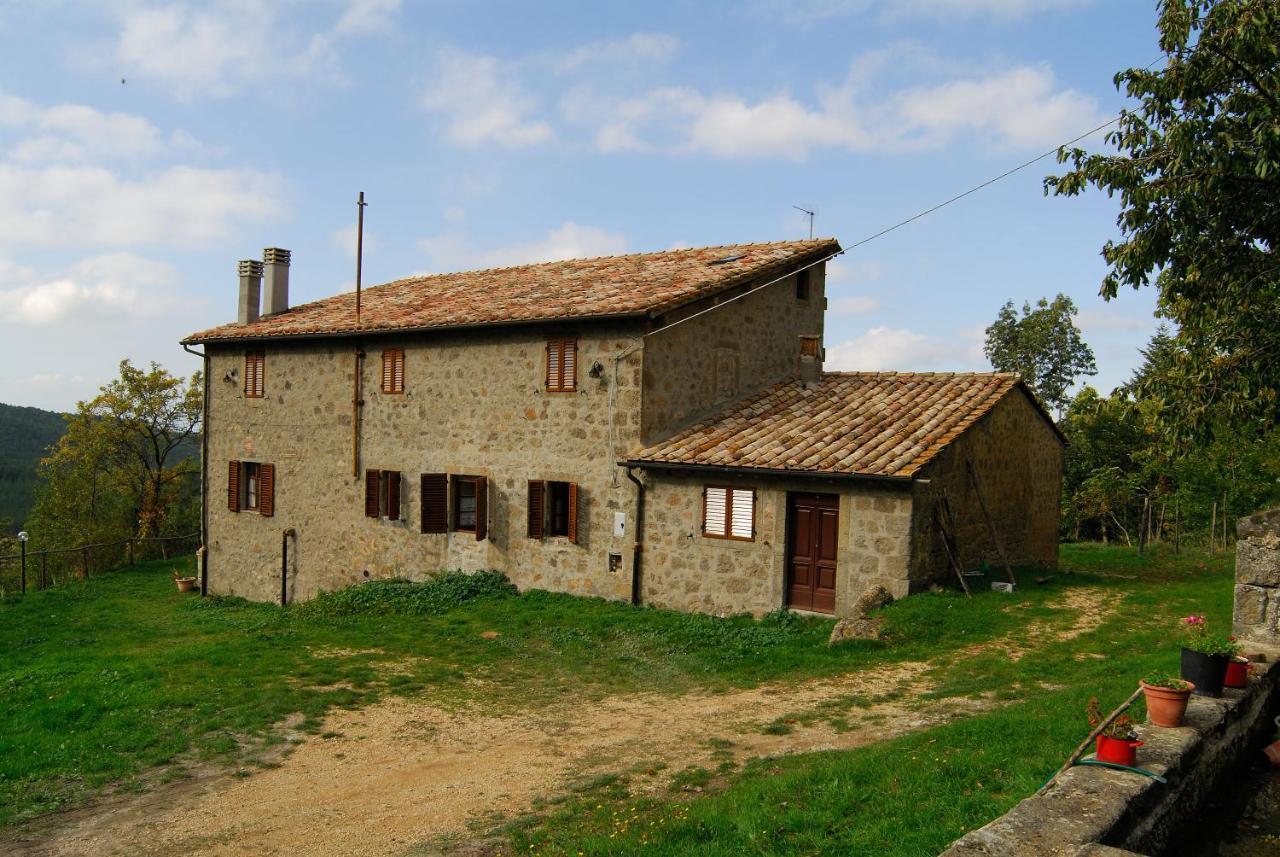 A Stay Surrounded By Greenery - Agriturismo La Piaggia - App 2 Bathrooms Vivo dʼOrcia Exterior foto