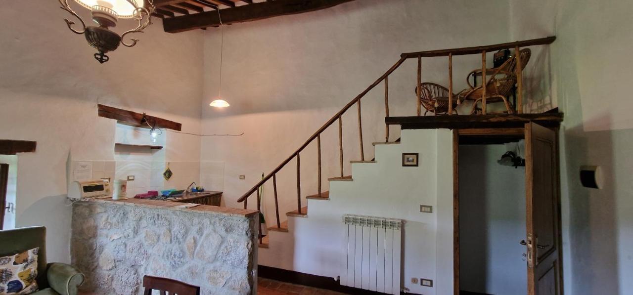 A Stay Surrounded By Greenery - Agriturismo La Piaggia - App 2 Bathrooms Vivo dʼOrcia Exterior foto